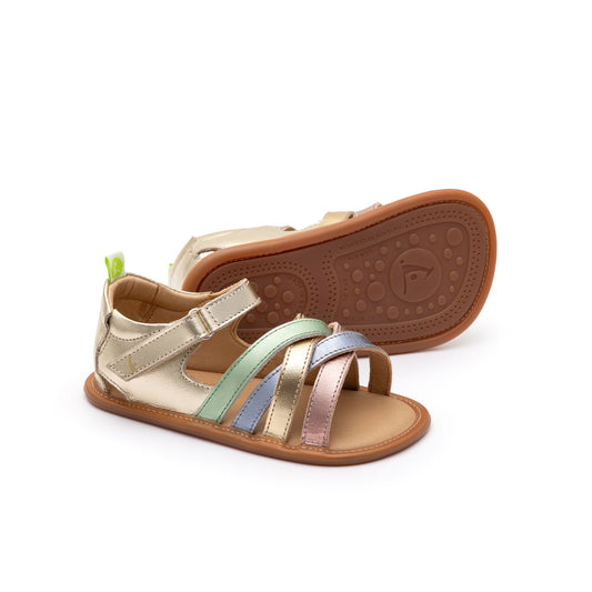 Tip Toey Joey - CRISS CROSS 1-3 anos Champagne/ Metal Blue / Metal Green