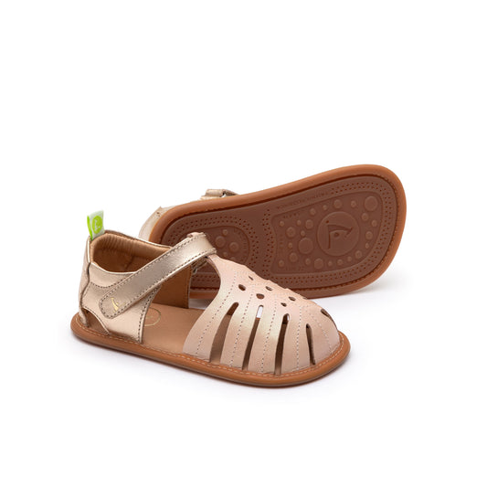 Tip Toey Joey - TROPICALLY Candy Dream