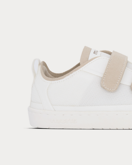 Muris - PETRANOVA JUNIOR STONE