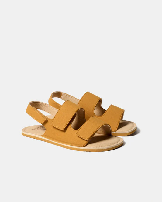 Muris - Rio Junior Mustard