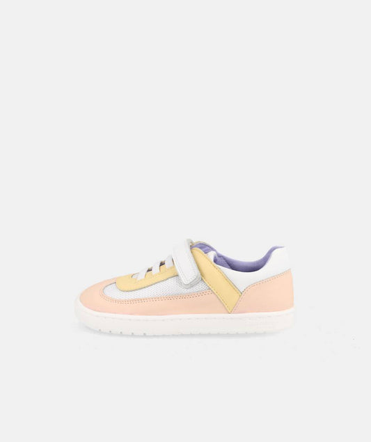 Blanditos by Crio's - BERLIN Combi