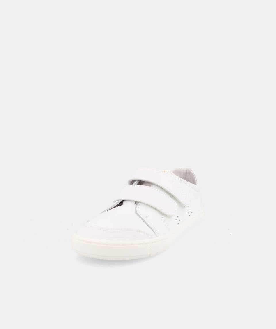 Blanditos by Crio's - RIO Branco