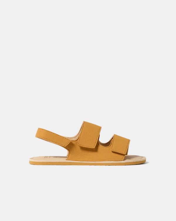 Muris - Rio Junior Mustard