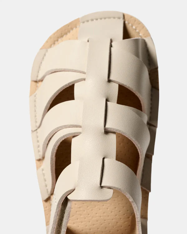 Muris - Tunis Mini Almond